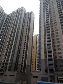 南山后花园 深圳石岩绿景名都，十栋村委统建楼如何媲美商品房？